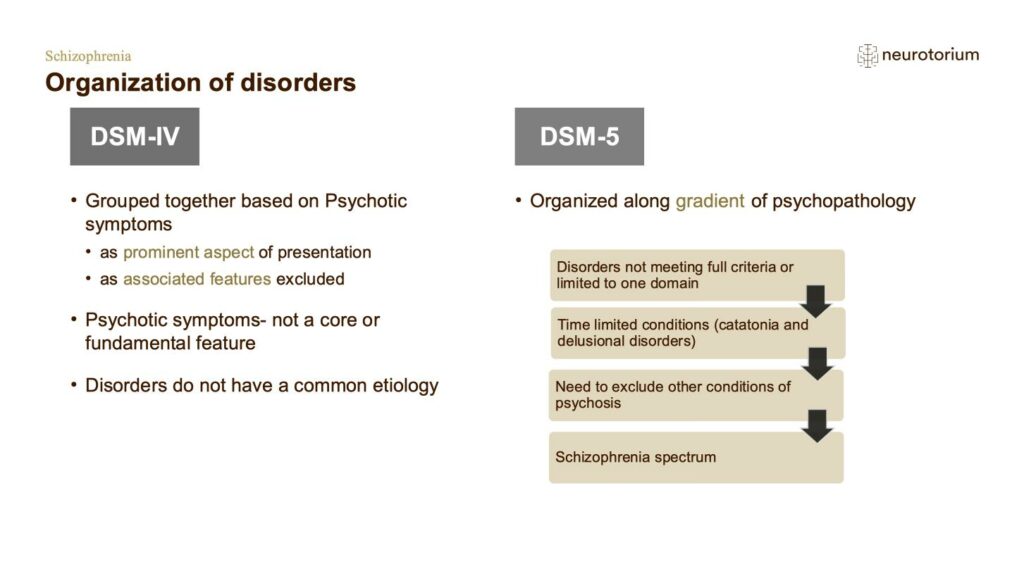 Organization of disorders